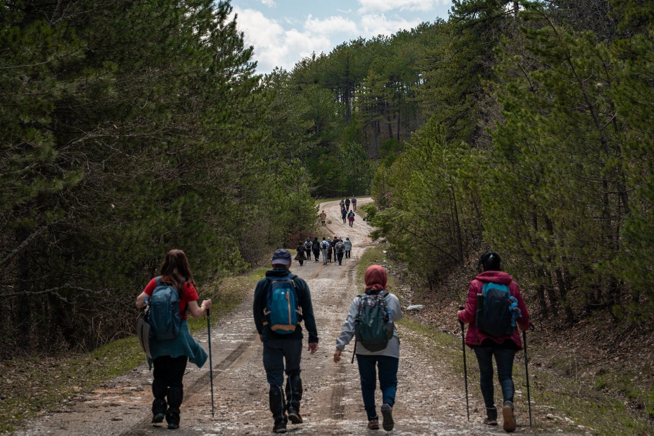 A large group of hikers exploring a forest trail. Perfect for adventure and outdoor recreation themes.