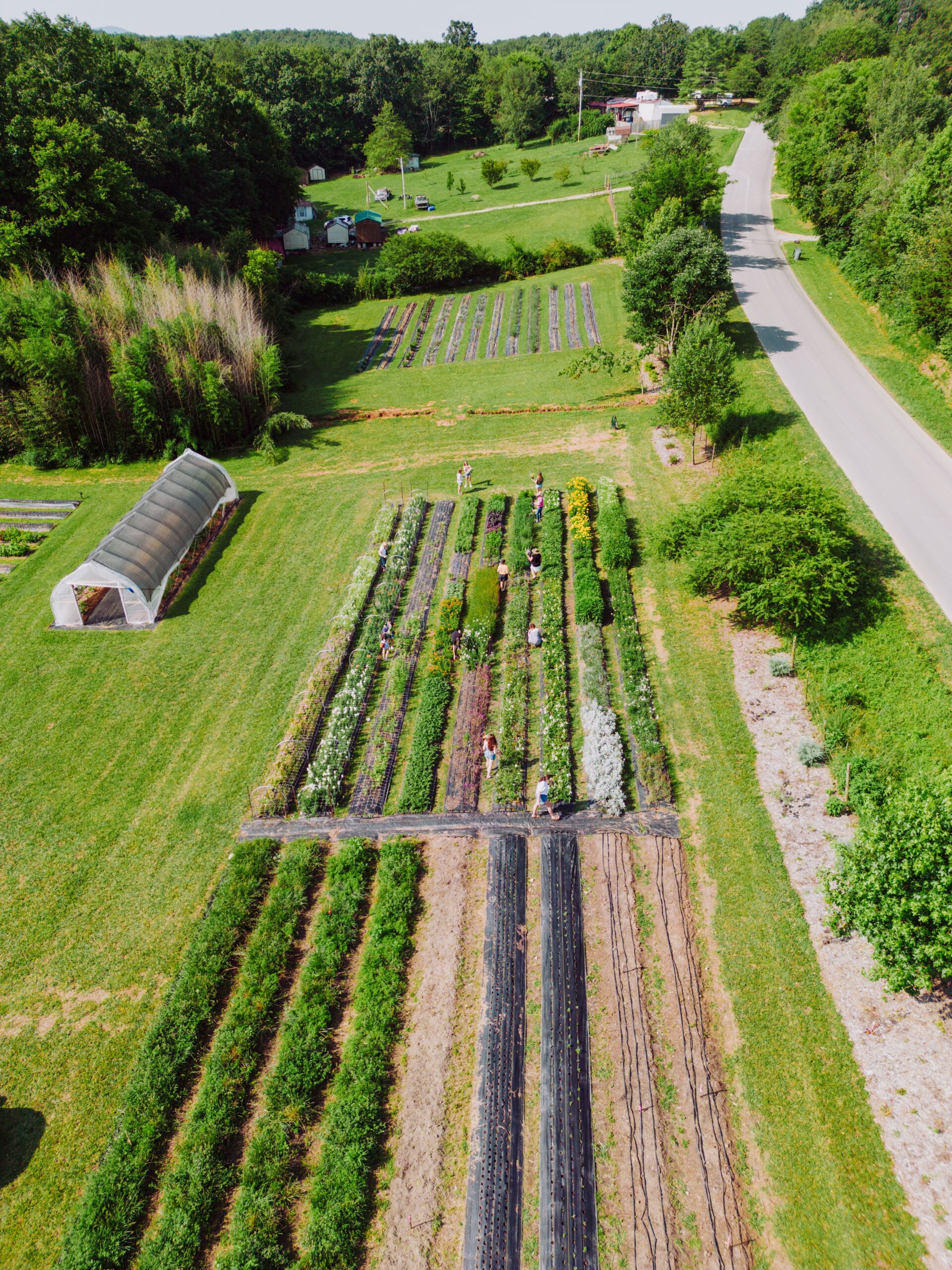 Scenic aerial shot of vibrant farmland and crops in Chickamauga, Georgia during summer.